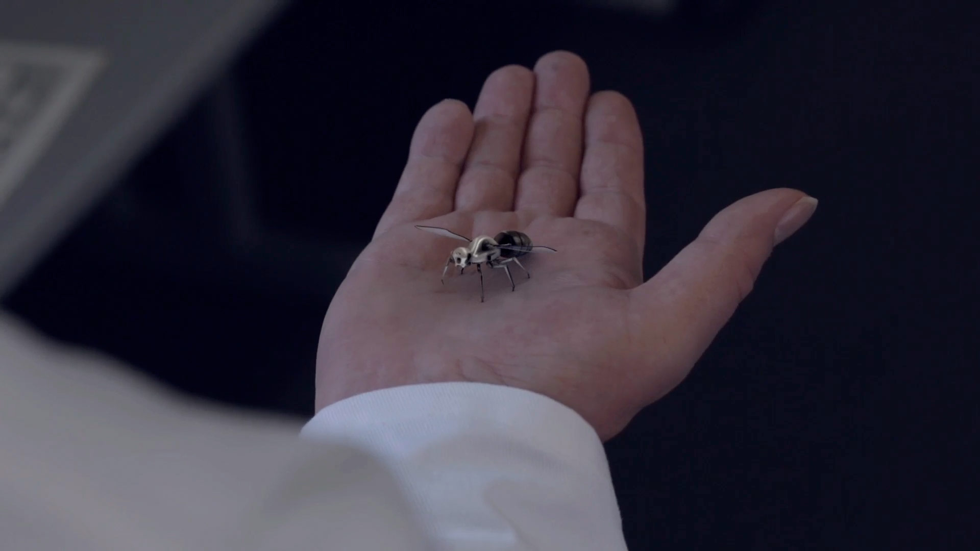 Visual Unlimited Filmszene RTBX The Artificial Bee Experiment 14